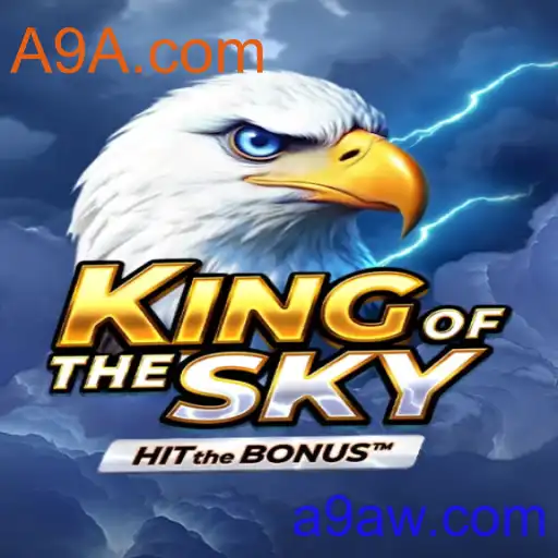 KingOfTheSky: A Venturosa Jornada Pelos Céus
